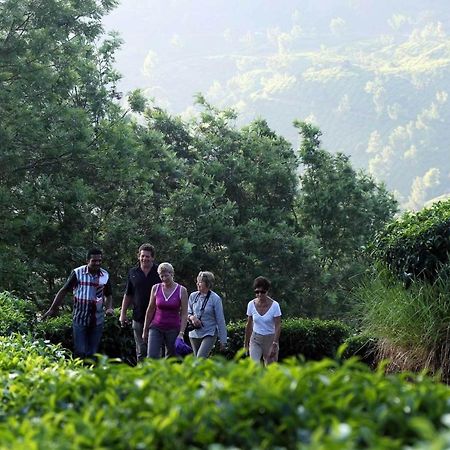 Shamrock Holiday Home Munnar Dış mekan fotoğraf