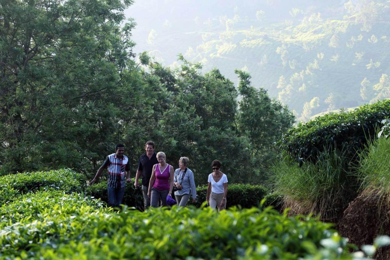 Shamrock Holiday Home Munnar Dış mekan fotoğraf